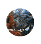 ウツボも可愛いんです（個別スタンプ：13）
