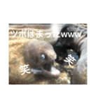 ウツボも可愛いんです（個別スタンプ：18）