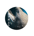 ウツボも可愛いんです（個別スタンプ：21）