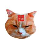 うちのスコティッシュ【日常使い】（個別スタンプ：21）