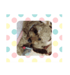families☆（個別スタンプ：8）