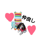 きゃばりあ しゃけ（個別スタンプ：31）