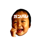 ひよんぷ2（個別スタンプ：7）