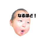 ひよんぷ2（個別スタンプ：12）