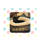 フレブルパック（個別スタンプ：5）