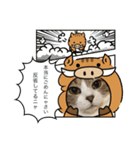 こはセシ①（個別スタンプ：13）