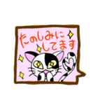 日常挨拶 NEKOver（個別スタンプ：6）