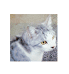 大切な人と猫（個別スタンプ：2）