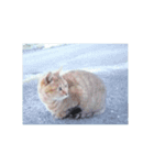 大切な人と猫（個別スタンプ：7）