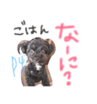 桜都ちゃんスタンプ2（個別スタンプ：20）