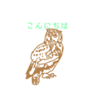 おしゃれなフクロウスタンプ（個別スタンプ：8）