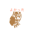 おしゃれなフクロウスタンプ（個別スタンプ：13）