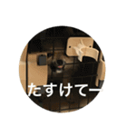 可愛いポメラニアンがじまるくんのスタンプ（個別スタンプ：16）