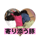 面智1（個別スタンプ：34）