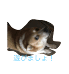 わんわんたちの日常（個別スタンプ：2）