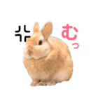 ぽぽさんの日常（個別スタンプ：9）