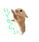 ぽぽさんの日常（個別スタンプ：16）