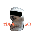 モサいぬ（個別スタンプ：4）