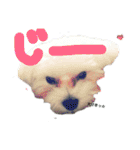 モサいぬ（個別スタンプ：10）