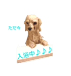 モサいぬ（個別スタンプ：21）