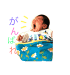 ベビーこはる（個別スタンプ：3）