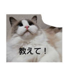 エリー・ラグ太郎・バロン3（個別スタンプ：4）