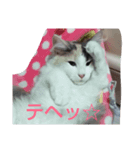 エリー・ラグ太郎・バロン3（個別スタンプ：7）