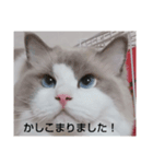 エリー・ラグ太郎・バロン3（個別スタンプ：8）