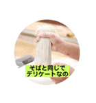 蕎麦 時々 看護師（個別スタンプ：34）