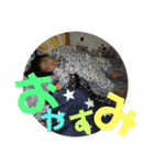 虎汰郎スタンプ（個別スタンプ：4）