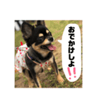 うーわんわん！！！！（個別スタンプ：2）