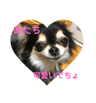 うーわんわん！！！！（個別スタンプ：7）