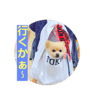 うーわんわん！！！！（個別スタンプ：8）
