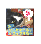 うーわんわん！！！！（個別スタンプ：10）