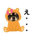 うーわんわん！！！！（個別スタンプ：15）