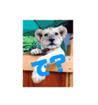 自由すぎる動物園の実写スタンプ★（個別スタンプ：5）