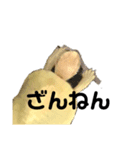 黄色い亀との日常（個別スタンプ：14）