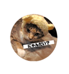 ねこ？くま？（個別スタンプ：1）