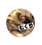 ねこ？くま？（個別スタンプ：2）