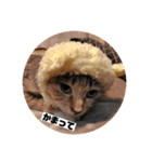 ねこ？くま？（個別スタンプ：5）