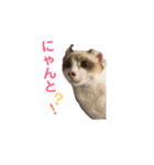 ミルクココアの日常スタンプ♬*゜（個別スタンプ：22）