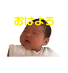 うたちゃんスタンプ①（個別スタンプ：5）