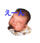 うたちゃんスタンプ①（個別スタンプ：12）