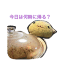 今日のうしちゃん2（個別スタンプ：15）