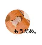 今日のうしちゃん2（個別スタンプ：35）