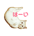 むにまるスタンプ（個別スタンプ：1）