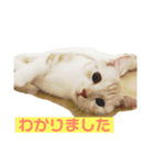 むにまるスタンプ（個別スタンプ：7）