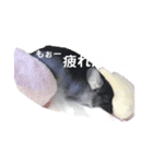 マック君のいる生活...（個別スタンプ：4）