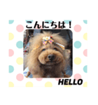 アンジーと楽しい仲間たち！（個別スタンプ：1）