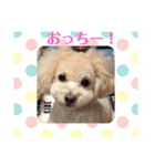 アンジーと楽しい仲間たち！（個別スタンプ：2）